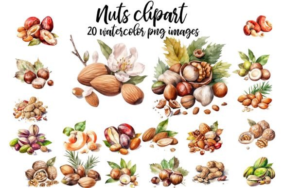 Nuts Clipart: High-Quality Digital Assets for Creators